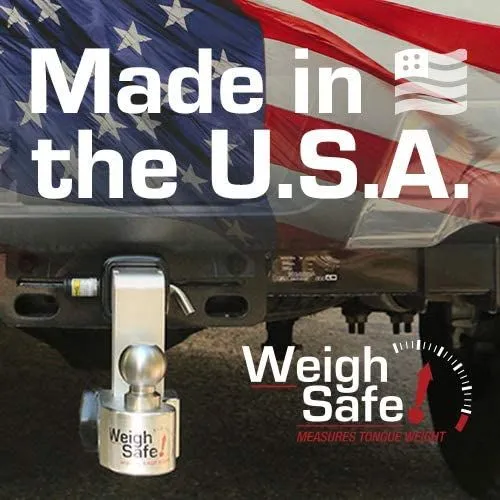 Weigh Safe 10